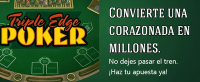 Cartones de bingo profesional